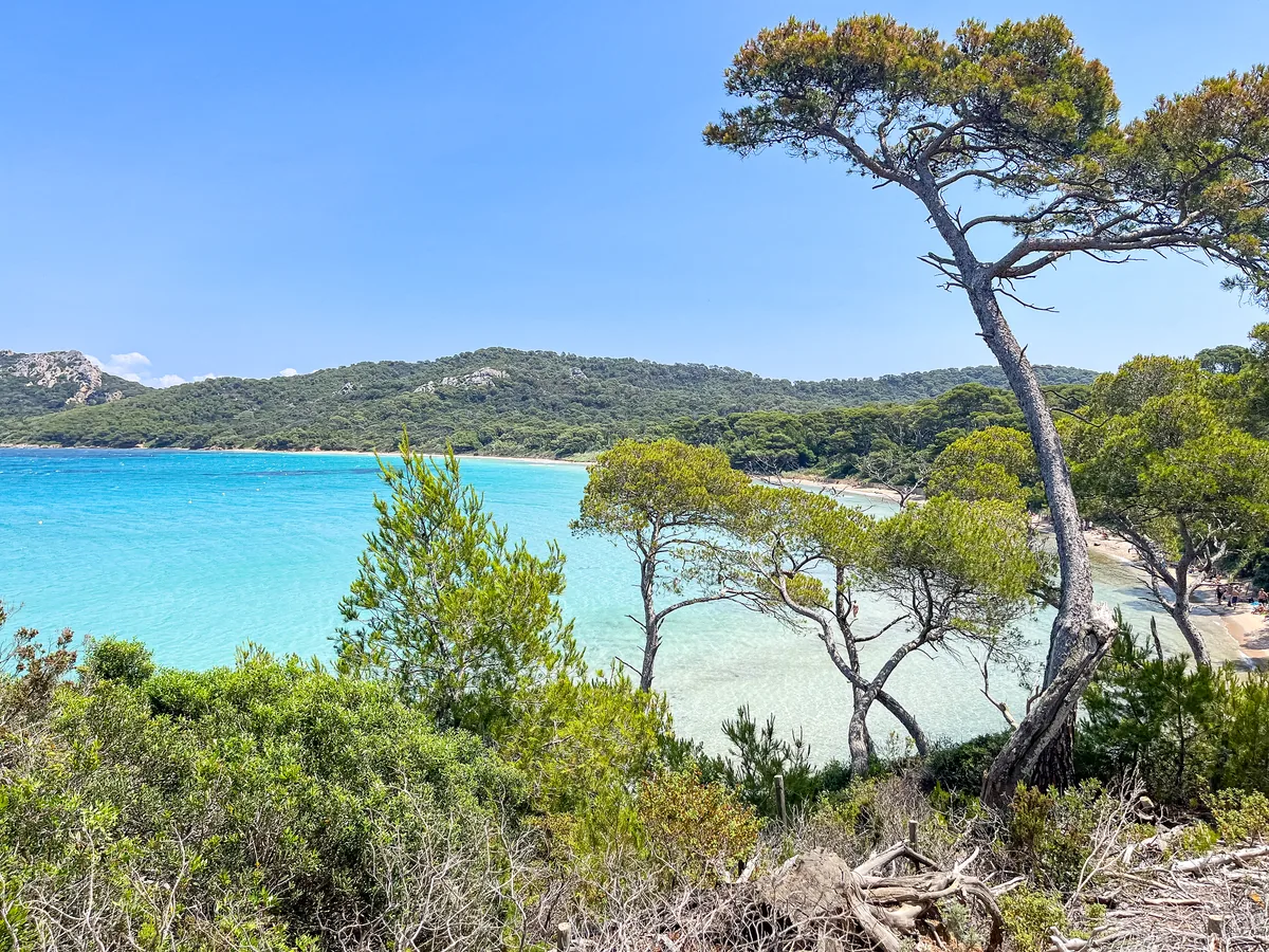 Eau turquoise et pins au-dessus de la plage Notre-Dame, Porquerolles